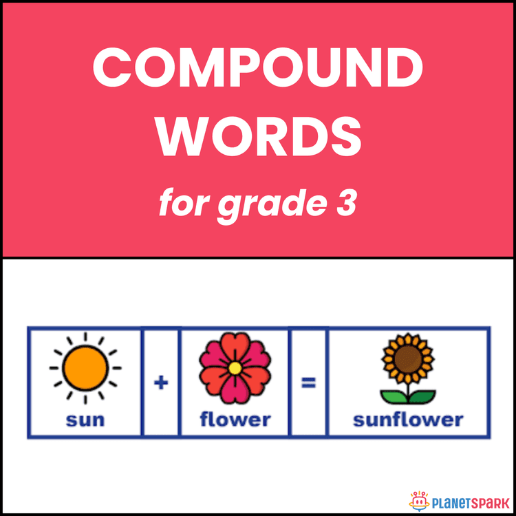 Class 3 English Grammar Worksheet on Compound Words